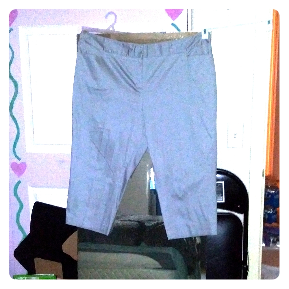 Lane Bryant pants Size 24
